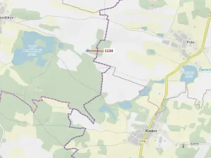 Dražba lesa, Hradiště, 1083 m2