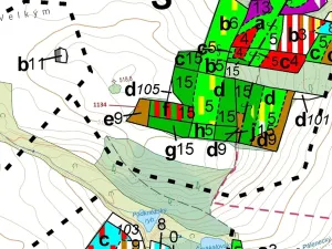 Dražba lesa, Hradiště, 1083 m2