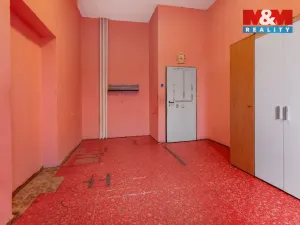 Pronájem obchodního prostoru, Plazy, 675 m2