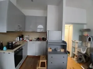 Prodej bytu 2+kk, Praha - Karlín, Pobřežní, 52 m2