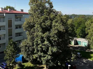 Pronájem bytu 2+1, Přerov - Přerov I-Město, Dvořákova, 69 m2