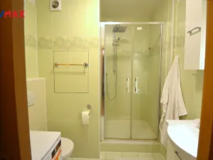 Prodej bytu 1+1, Olomouc - Nová Ulice, Hraniční, 32 m2