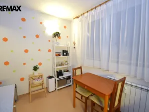 Prodej bytu 1+1, Olomouc - Nová Ulice, Hraniční, 32 m2