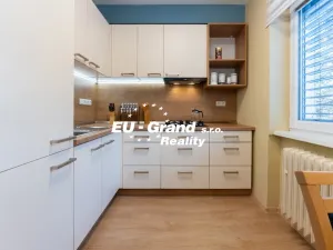 Prodej bytu 1+1, Ústí nad Labem - Ústí nad Labem-centrum, SNP, 29 m2