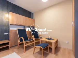 Prodej bytu 1+1, Ústí nad Labem - Ústí nad Labem-centrum, SNP, 29 m2