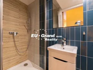 Prodej bytu 1+1, Ústí nad Labem - Ústí nad Labem-centrum, SNP, 29 m2