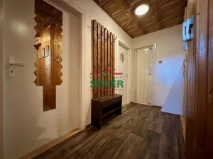 Prodej bytu 2+1, Litvínov - Horní Litvínov, Podkrušnohorská, 63 m2