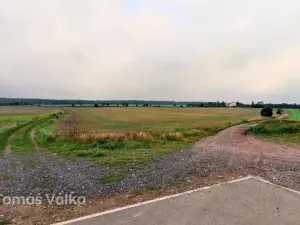 Prodej pole, Cvrčovice, 2032 m2
