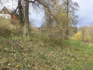 Prodej pozemku, Aš, 1691 m2