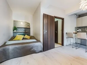 Pronájem bytu 1+kk, Praha - Holešovice, Jankovcova, 33 m2