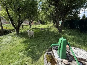 Prodej chaty, Planá, 98 m2