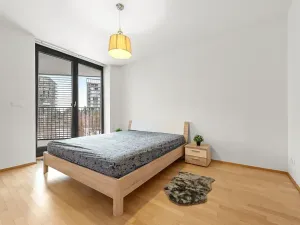 Prodej bytu 2+kk, Praha - Žižkov, Pitterova, 83 m2