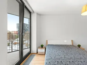 Prodej bytu 2+kk, Praha - Žižkov, Pitterova, 83 m2