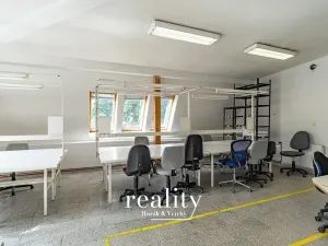 Pronájem výrobních prostor, Šebrov-Kateřina, 243 m2