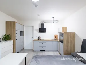 Pronájem bytu 1+kk, Praha - Vinohrady, Perucká, 25 m2