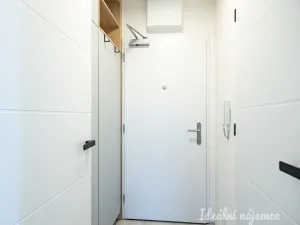 Pronájem bytu 1+kk, Praha - Vinohrady, Perucká, 25 m2