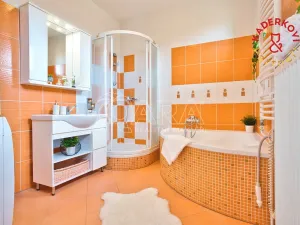 Prodej rodinného domu, Velké Opatovice, 167 m2