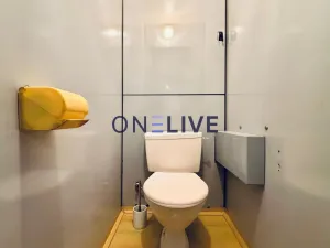 Pronájem bytu 1+1, Plzeň, Brněnská, 38 m2