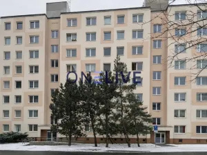 Pronájem bytu 1+1, Plzeň, Brněnská, 38 m2