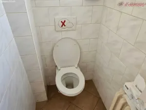 Prodej rodinného domu, Lipník nad Bečvou - Lipník nad Bečvou I-Město, Mánesova, 143 m2