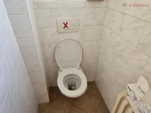 Prodej komerční nemovitosti, Lipník nad Bečvou - Lipník nad Bečvou I-Město, Mánesova, 170 m2