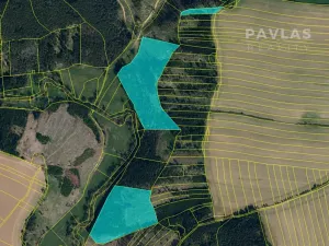 Prodej lesa, Křelovice, 102822 m2