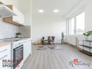 Pronájem bytu 2+kk, Mlékojedy, 54 m2