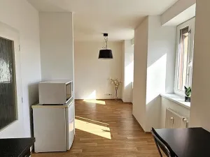 Pronájem bytu 1+kk, Brno - Zábrdovice, Tkalcovská, 32 m2