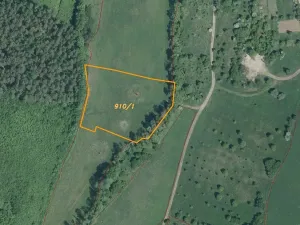 Dražba pole, Dobrkovice, 30944 m2