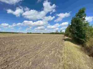 Dražba pole, Nový Bydžov, 1857 m2