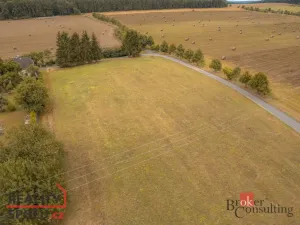 Prodej pozemku pro bydlení, Svojšín, 1094 m2