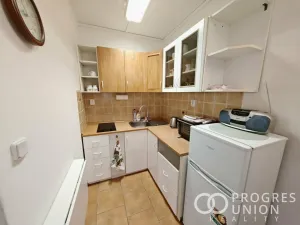 Pronájem bytu 1+kk, Kroměříž, Oskol, 28 m2