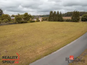Prodej pozemku pro bydlení, Svojšín - Nynkov, 1179 m2