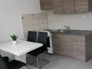 Pronájem bytu 3+1, Most, K. H. Borovského, 55 m2