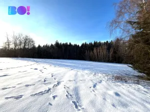 Prodej lesa, Žďár nad Sázavou - Stržanov, 43856 m2