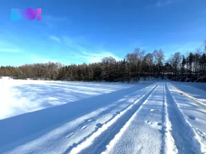 Prodej lesa, Žďár nad Sázavou - Stržanov, 43856 m2