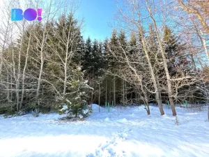 Prodej lesa, Žďár nad Sázavou - Stržanov, 43856 m2