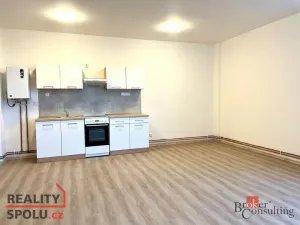 Pronájem bytu 1+kk, Mlékojedy, 47 m2