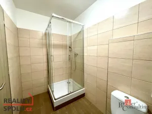 Pronájem bytu 1+kk, Mlékojedy, 47 m2