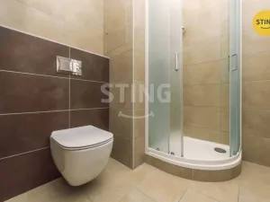 Prodej bytu 1+kk, Pardubice, Pod Vinicí, 40 m2