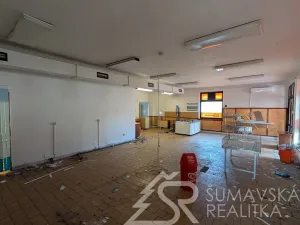 Prodej obchodního prostoru, Předslav, 494 m2