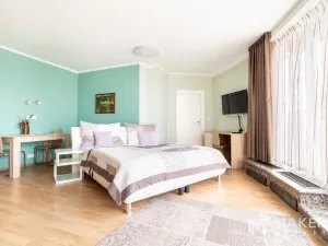 Pronájem bytu 1+kk, Praha - Strašnice, Vinohradská, 30 m2