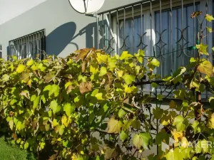 Prodej bytu 3+kk, Praha - Liboc, U silnice, 64 m2