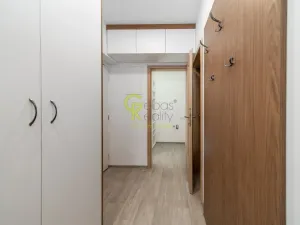 Prodej bytu 2+kk, Skorkov - Otradovice, 48 m2