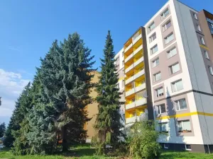 Prodej bytu 1+kk, Valašské Meziříčí, Vsetínská, 27 m2