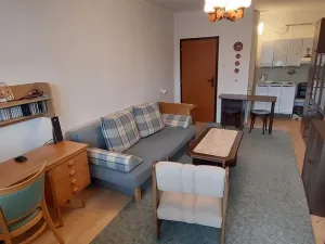 Prodej bytu 1+kk, Valašské Meziříčí, Vsetínská, 27 m2