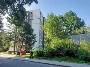 Prodej bytu 1+kk, Valašské Meziříčí, Vsetínská, 27 m2