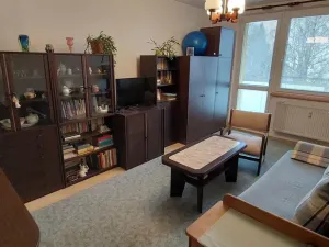 Prodej bytu 1+kk, Valašské Meziříčí, Vsetínská, 27 m2