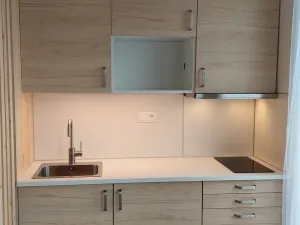 Pronájem bytu 1+kk, Brno - Staré Brno, 27 m2