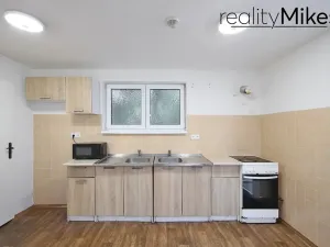 Prodej ubytování, Dobrovice, 500 m2